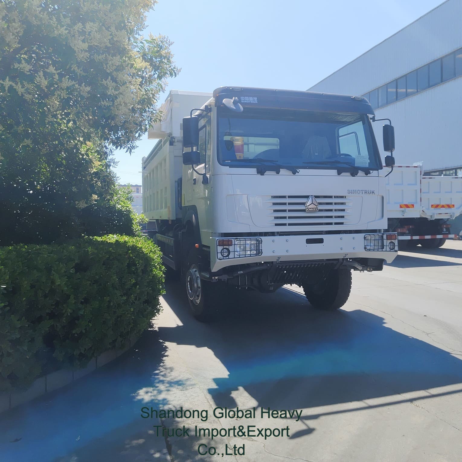 Sinotruk HOWO 6X4 371HP 380HP 8X4 400HP Dümper Tipper Tipping Diesel Sinotruck