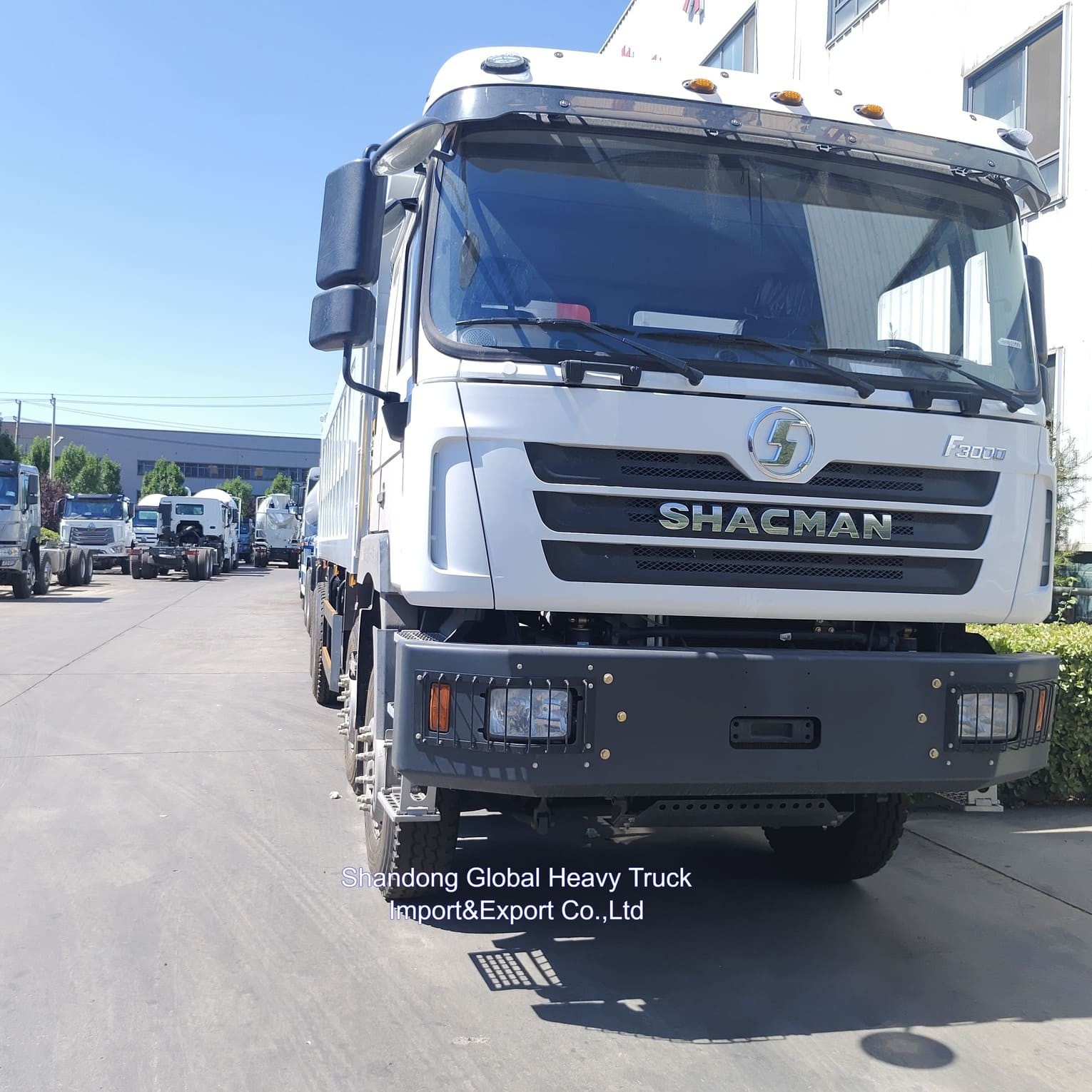Yeni Shacman F3000 8*4 380HP Dizel Kamyon Kamyon 12 Tekerlekli 40 Tonluk Madencilik Damperli Kamyonlar Satılık